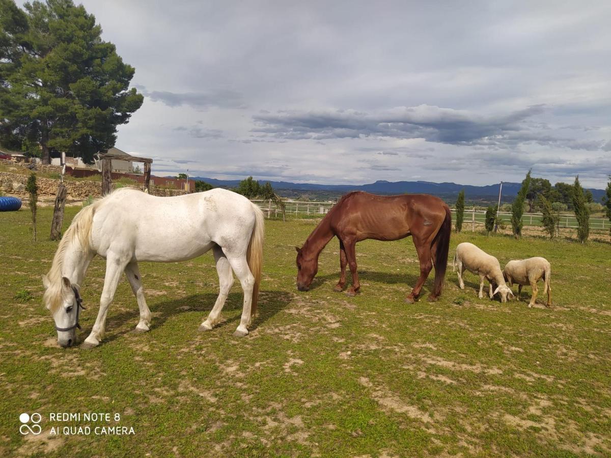 Casa Con Vistas, Piscina Y Animales De Granja, La Caseta Таррагона Экстерьер фото