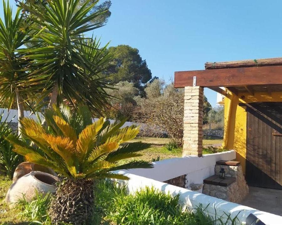 Casa Con Vistas, Piscina Y Animales De Granja, La Caseta Таррагона Экстерьер фото